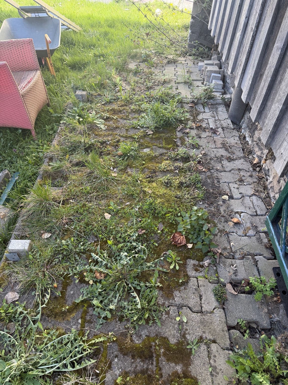 Pflaster vor der Reinigung